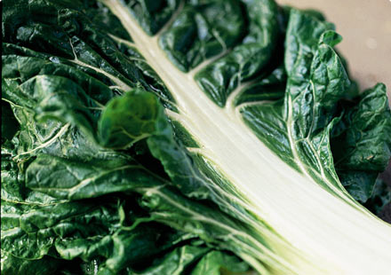 Swiss chard leaf