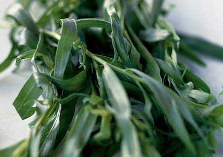 A popular and versatile herb, tarragon has an intense flavour that's a unique mix of sweet aniseed and a mild vanilla.