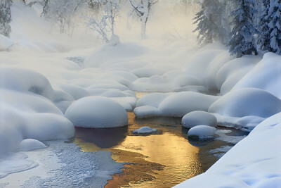 雪