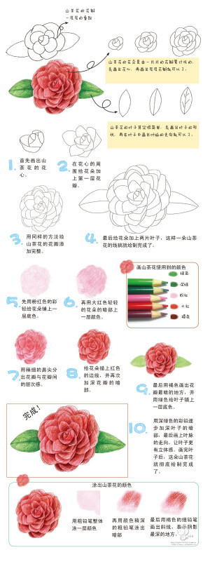 茶花，又名山茶花（学名：Camellia japonica），山茶科植物，属常绿灌木和小乔木。古名海石榴。有玉茗花、耐冬或曼陀罗等别名。 其实鸟酱到现在也不是很明白茶花是不是就是曼陀罗....昏了...