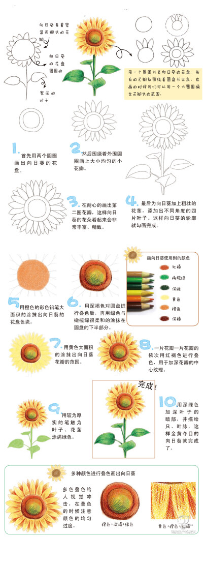 受到向日葵祝福而诞生的人，具有一颗如太阳般明朗、快乐的心。