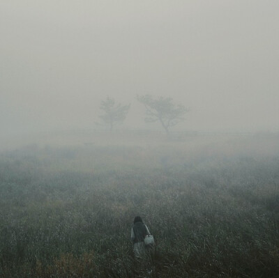 在迷雾中行走