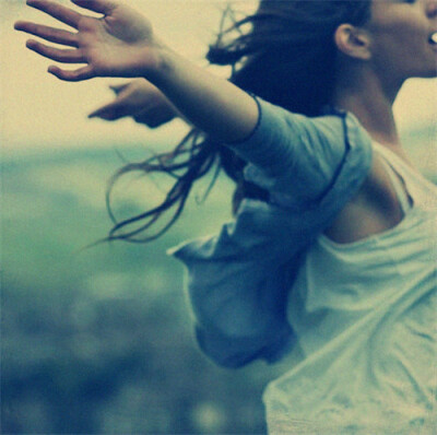 如果这个时候窗外有风 我就有了飞的理由