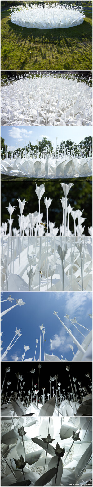 想象一下拥有一个永不凋谢花朵的花园是啥感觉，瑞士设计师Anouk Vogel的得奖作品就是这样的——一个为祈祷和平而制作的纸花园！看啊，连蜻蜓都被迷惑，认为是真正的花园，而栖息停留下来了。
