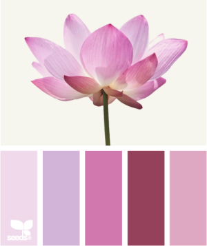 lotus pink