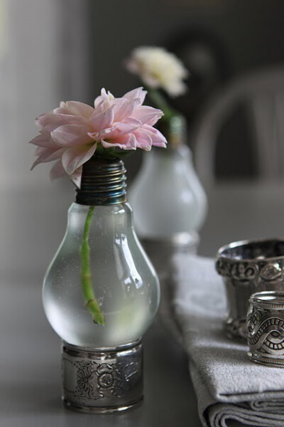 灯泡花瓶，有种复古美了这个。【阿团丸子】