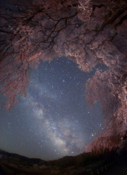 我想，以后哪一天，我们生活在一起后，陪我去西藏看星空，听说那里的星空很美。 当然，如果不是你，那么这一切都没有意义。