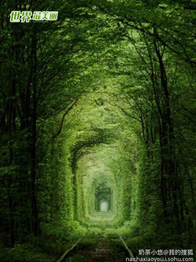 乌克兰浪漫铁路：“爱的隧道”位于乌克兰东部一个名叫克莱旺的小镇附近，是一段长约3公里的铁路。但它与众不同的地方在于，其四周是由树木及绿色藤蔓围绕而成，绿色植物构建成了拱形结构，将整条铁路包裹起来，变成…