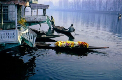 Flower Seller on Dall Lake, India - Mike Lane印度道尔湖上的鲜花售卖船