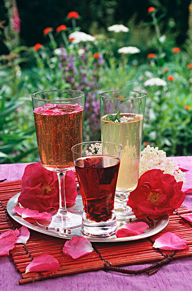 Summer drinks and rose petals。花茶