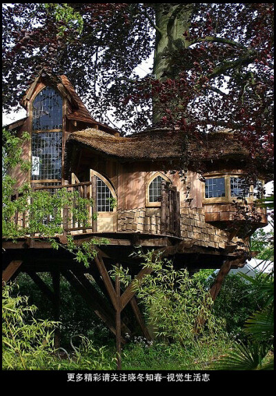 The tree houses, like Treetop, can cost as much as £ 250,000 each@晓冬知春