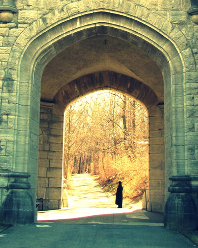 The Arch at Sands Point Preserve (N.Y.) fine art print