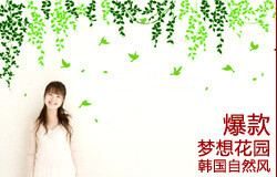 叶子