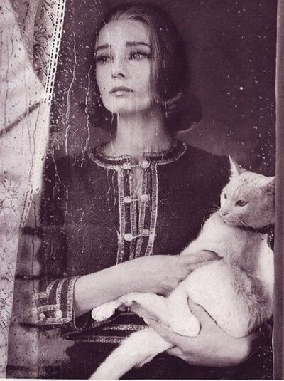 Audrey Hepburn with a white kitty, 1959