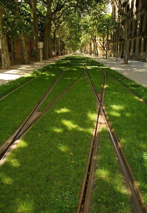 欧洲的草地电车轨道