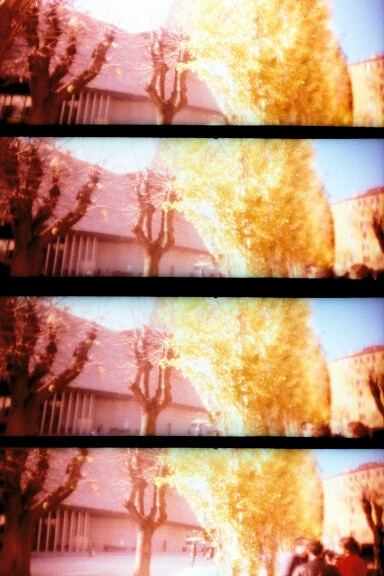 Lomographer：cecily 相机：LomoKino 胶卷：Fuji Velvia 100 iso expired