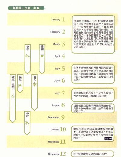 牛至栽培