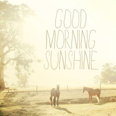 good morning sunshine