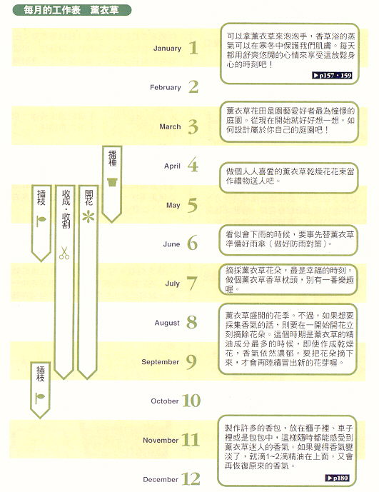 熏衣草栽培