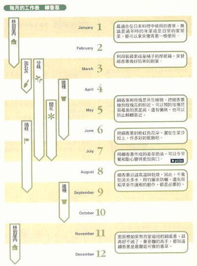 虾夷葱的栽培