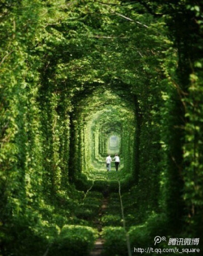 “爱的隧道”位于乌克兰东部一个名叫克莱旺的小镇附近，是一段长约3公里的铁路。但它与众不同的地方在于，其四周是由树木及绿色藤蔓围绕而成，绿色植物构建成了拱形结构，将整条铁路包裹起来，变成了一条绿色的通道…