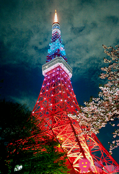  摄影 旅行风景 日本东京铁塔夜景!