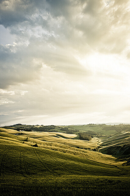 #B162#意大利五大产酒区之Tuscany