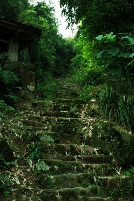 繁华尽处，寻一无人山谷，建一木制小屋，铺一青石小路，与你晨钟暮鼓，安之若素