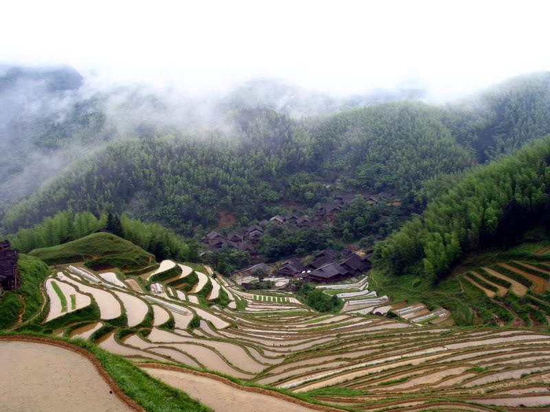 美丽梯田风景