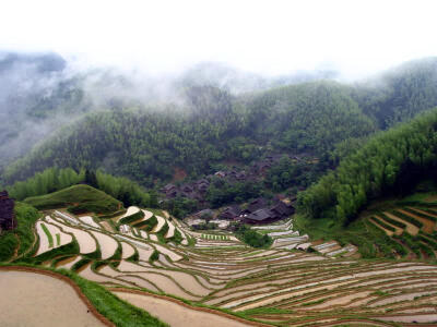 美丽梯田风景