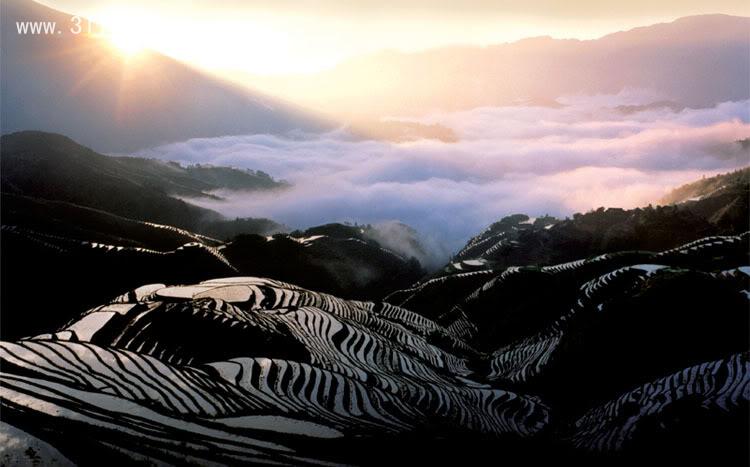 美丽梯田风景