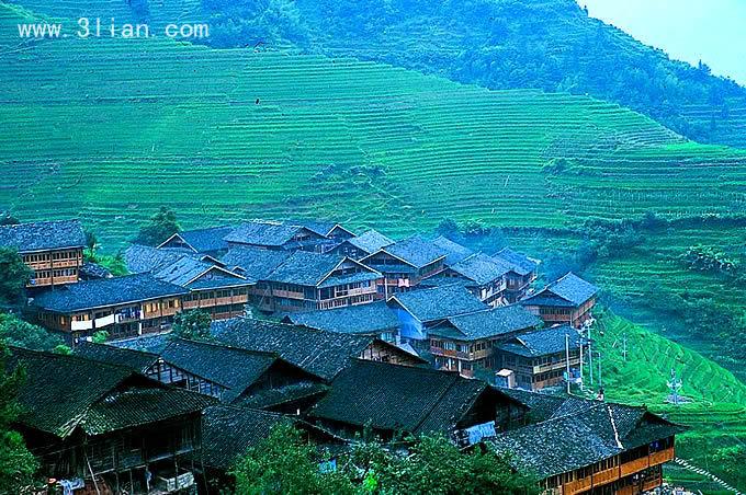 美丽梯田风景