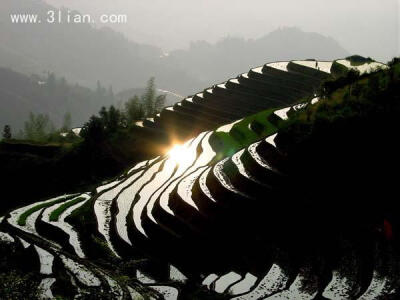 美丽梯田风景