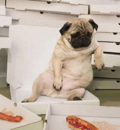 当一个二货不再犯二时，说明他不开心了。