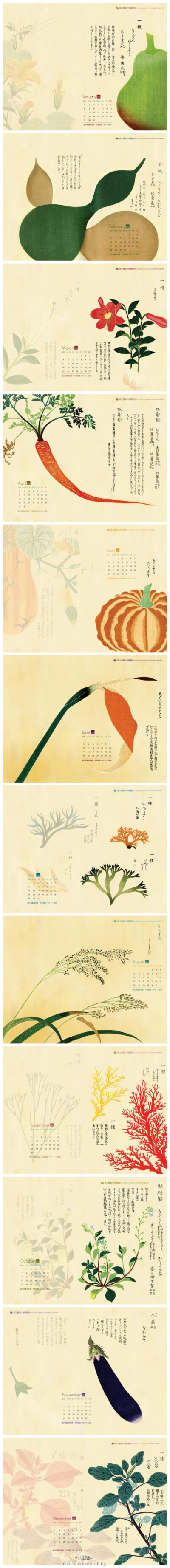 2012年选取的是日本画家岩崎常正画的《本草图谱》