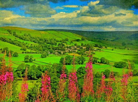 The Yorkshire Dales 约克郡山谷