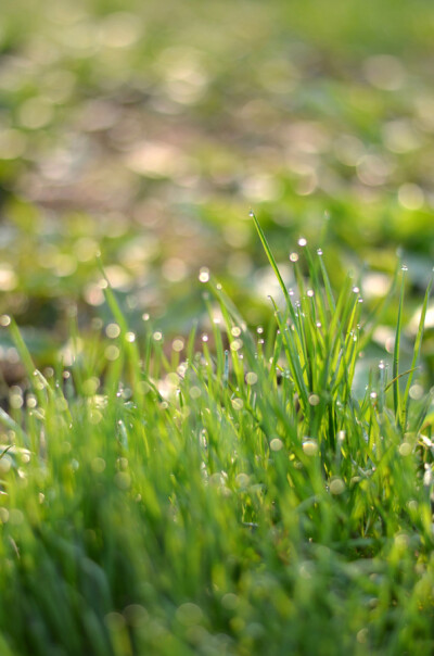 Photograph 春うらら by Katsumi Oyamada on 500px