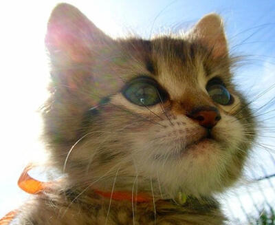 看偶的pose肿么样啊？