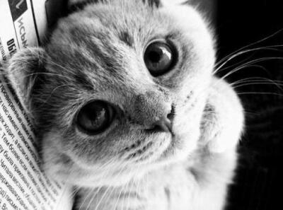 有时候，我会忧桑