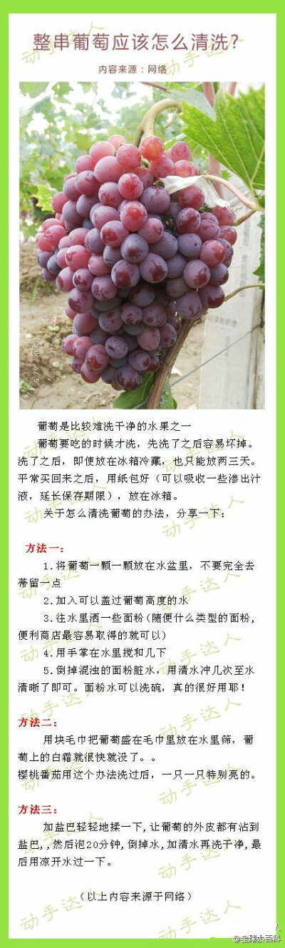 【整串葡萄应该怎么清洗? 】经常吃葡萄、特别是紫色葡萄能够有效地预防癌症，但特别难洗，教你三种清洗方法，轻松搞定