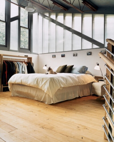 Clean modern interior bedroom with cat on bed