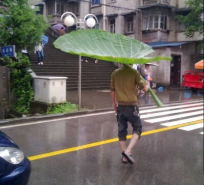 真是大雨中的一朵奇葩！！！