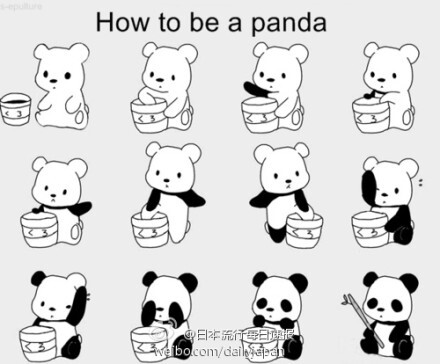 panda