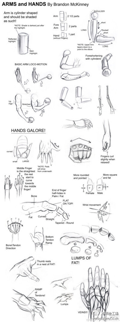 〖手臂和手的绘画详细教程〗一个叫Brandon Mckinney的插画家画的小教程，非常经典~