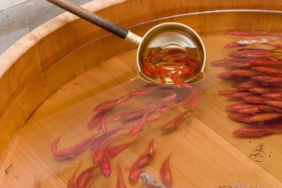 日本艺术家深堀隆介创作树脂金鱼画