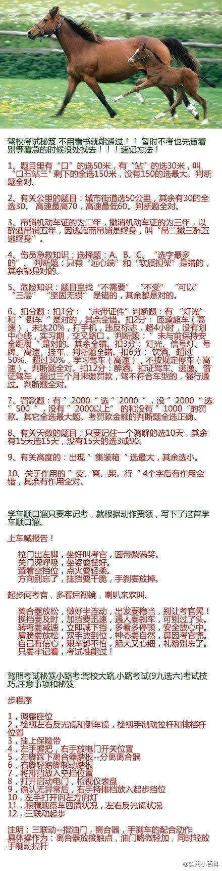 驾校考试秘笈，不用看书就能通过！！送给你身边现在或将来要学车的朋友吧！