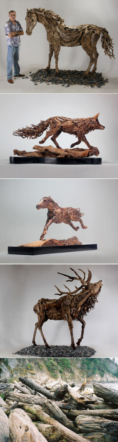 James Doran Webb是一位英国艺术家，他用世界各地收集来的漂流木（ driftwood）制作雕塑作品