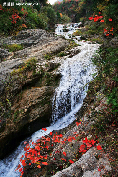 高山流水