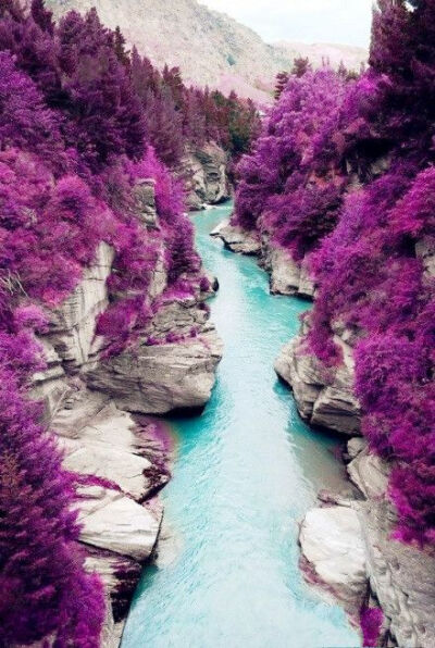 一片令人迷醉的紫色…… Location：斯凯岛的仙女池，苏格兰