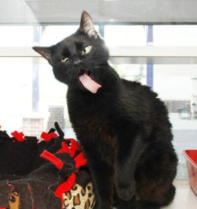 这什么情况,想笑死我么